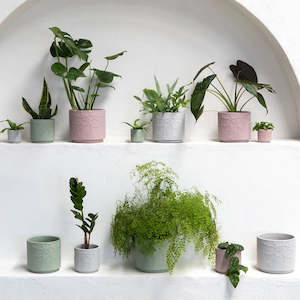 Habitat 101: Gemma Planter