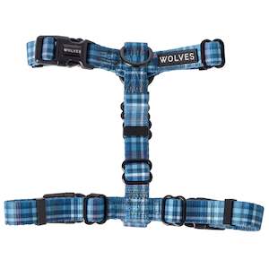 Lochie All Purpose Harness 2.0