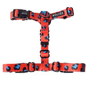 Pet: Cleo All Purpose Harness 2.0