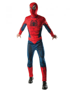 Costume hiring: Spiderman