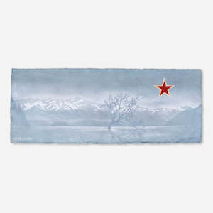 Framed Wanaka Tree Seachange Corner Star