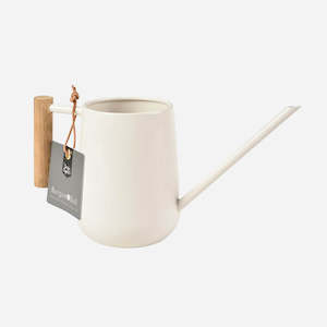 Gift: Indoor Watering Can