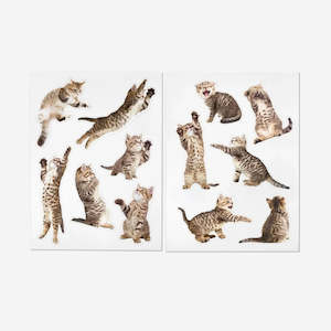 Gift: Action Cat Magnets