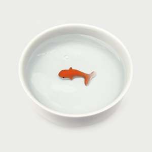 Goldfish Pet Bowl