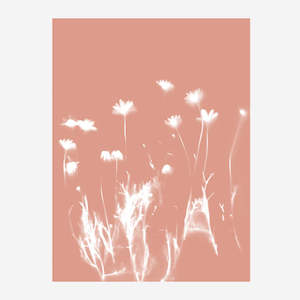 A3 Lumen Print - Daises