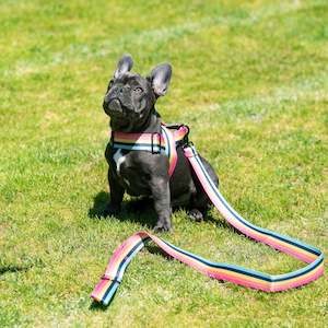 Harnesses: Outrageous Obi Harness