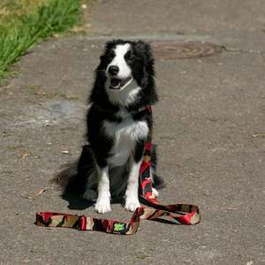 Fancy Frankie Harness