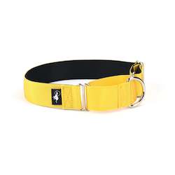 Pet: Adventure Martingale Collar - Yellow