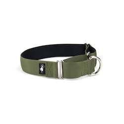 Adventure Martingale Collar - Olive