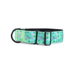 Moroccan Mint Martingale Dog Collar