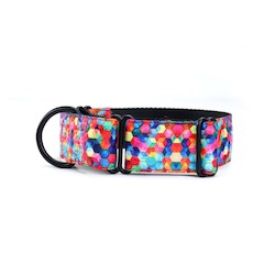 Pet: Spacehive Martingale Dog Collar