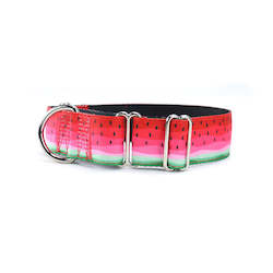 Pet: Watermelon Martingale Dog Collar