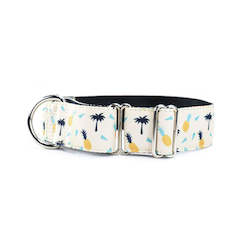 Pet: Kokomo Martingale Dog Collar