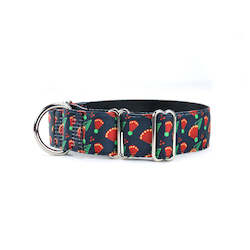 PÅhutukawa Martingale Dog Collar