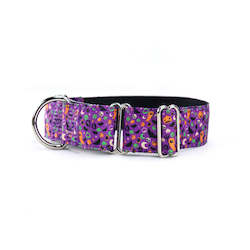 Spooky Night Martingale Dog Collar