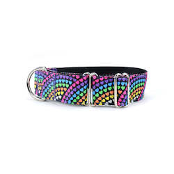 Rainbow Love Martingale Dog Collar