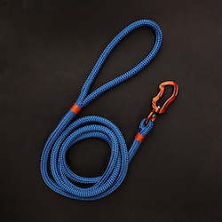 Pet: Orange & Electric Blue Rope Dog Leash