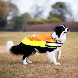 Pet: Laroo | LED Light Up Dog Safety Vest