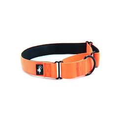 Adventure Martingale Collar - Fluro Orange