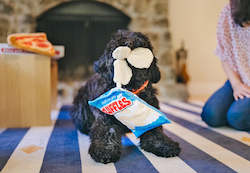 Pet: P.L.A.Y. Snack Attack | FLUFFLES CHIPS Dog Toy