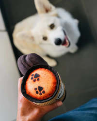 Pet: P.L.A.Y. Pup Cup Cafe | Latte to Go