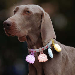 Pet: Laroo | Candy Octopus Dog Safety Light