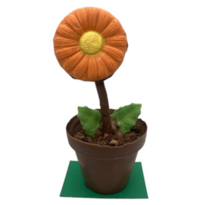 Chocolate: Chocolate Flower Pot