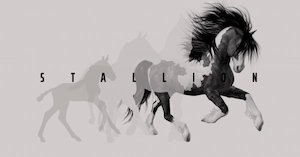 Internet advertising service: Stallion