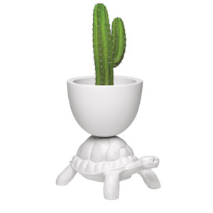 Qeeboo Turtle Carry Planter & Champagne Cooler - White