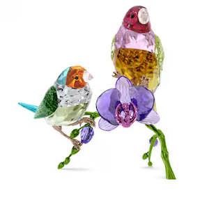 Swarovski Idyllia SCS Annual Edition 2024 Gouldian Finches