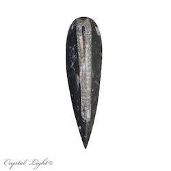 Orthoceras Fossil Blade Tiny