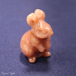 Muscovite Rabbit