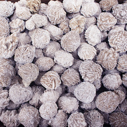 China, glassware and earthenware wholesaling: Desert Rose Medium