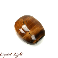 Tiger's Eye Palmstone