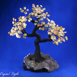 China, glassware and earthenware wholesaling: Citrine Druse Tree (Single)