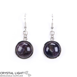 Amethyst Framed Round Earrings