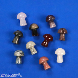 China, glassware and earthenware wholesaling: Mini Mushroom Lot