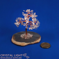 Clear Quartz Tree on Agate Slice