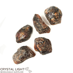 Black Amber Specimen Lot