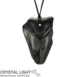 China, glassware and earthenware wholesaling: Megalodon Tooth Necklace