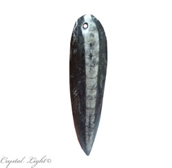 Orthoceras Fossil Blade Pendant