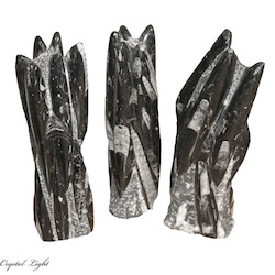 China, glassware and earthenware wholesaling: Orthoceras Fossil Tower Small