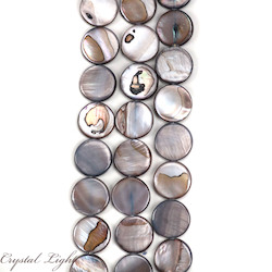 Shell Coin Beads