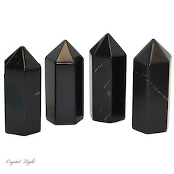 Shungite Polished Point