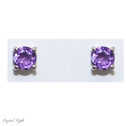 Amethyst S/S Stud Earrings