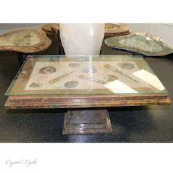 Orthoceras & Goniatite Fossil Table