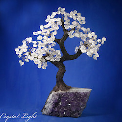 Clear Quartz Druse Tree (Single)