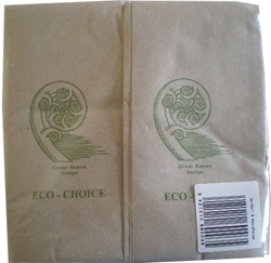 Box of Eco Choice Serviettes - Dinner