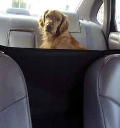 Front Seat Safety Barrier