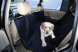 Back Seat Hammock Protector